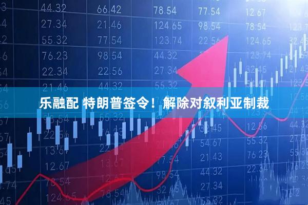 乐融配 特朗普签令！解除对叙利亚制裁