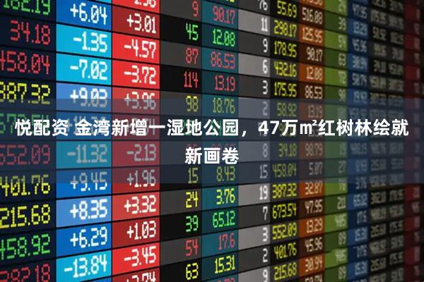 悦配资 金湾新增一湿地公园，47万㎡红树林绘就新画卷