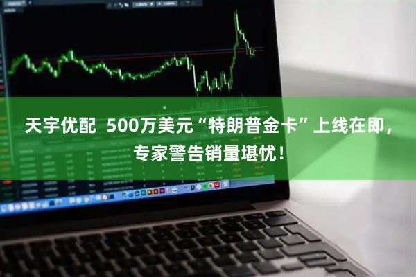 天宇优配  500万美元“特朗普金卡”上线在即，专家警告销量堪忧！
